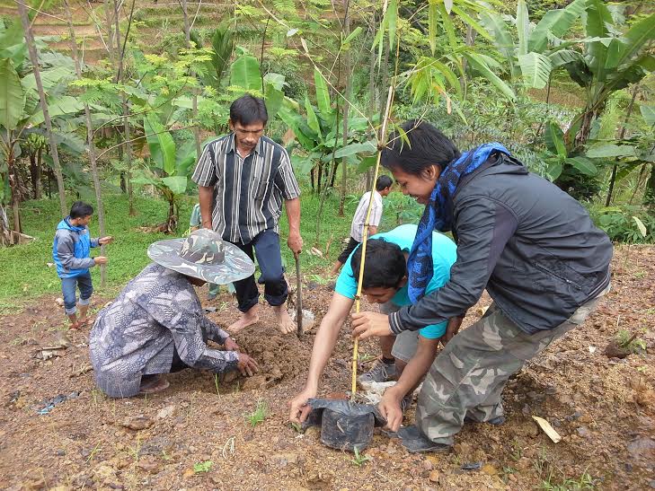 Banten Creative Community (BCC) bersama puluhan masyarakat Desa Cirompang, Kecamatan Sobang, Kabupaten Lebak menanam ratusan bibit bambu di lahan-lahan kritis di desa Ciropang