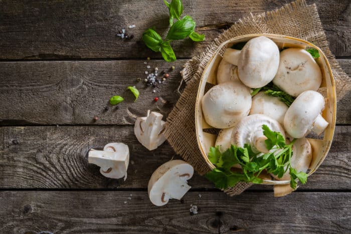 diet jamur
