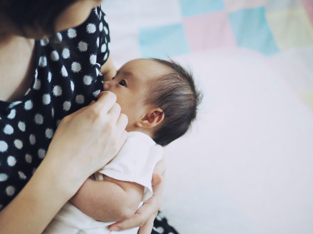 ibu menyusui minum obat