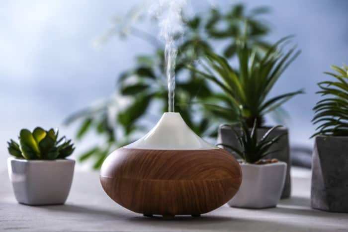 cara membersihkan humidifier