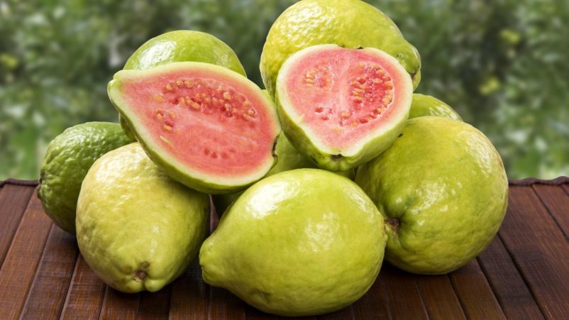 manfaat kesehatan jambu biji