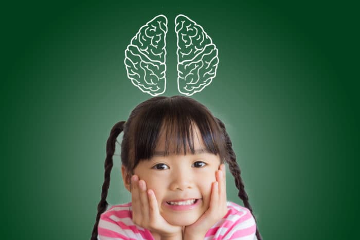 anak pintar