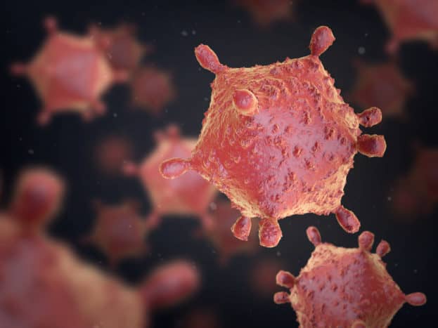 Virus serang bakteri penyakit
