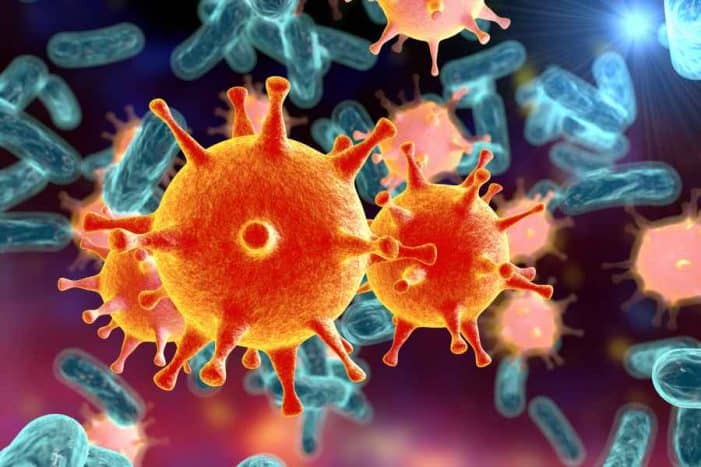 Virus hepatitis C