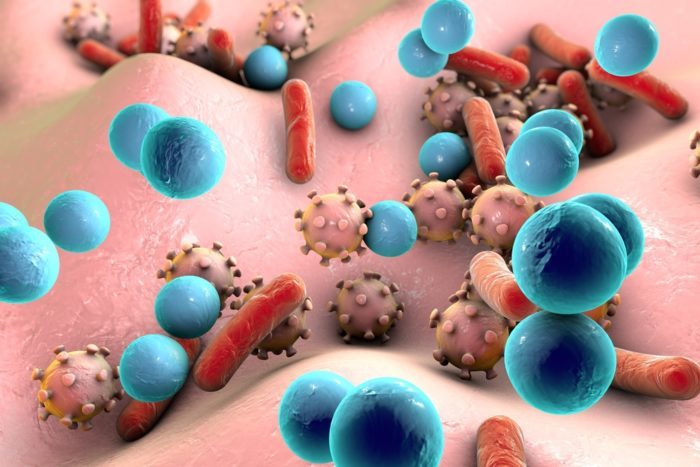 bakteri dan virus manakah yang lebih berbahaya