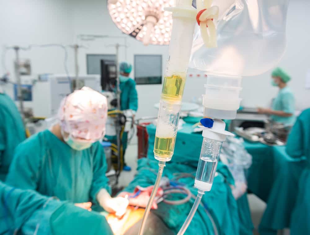 donor sumsum tulang belakang