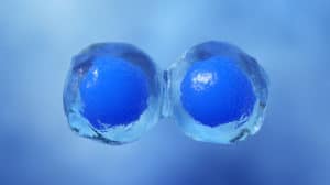 sel punca, sel istimewa dalam tubuh