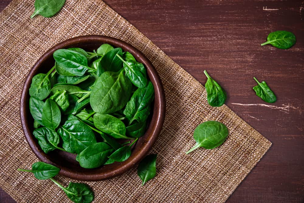 bayam hijau memperkuat kandungan