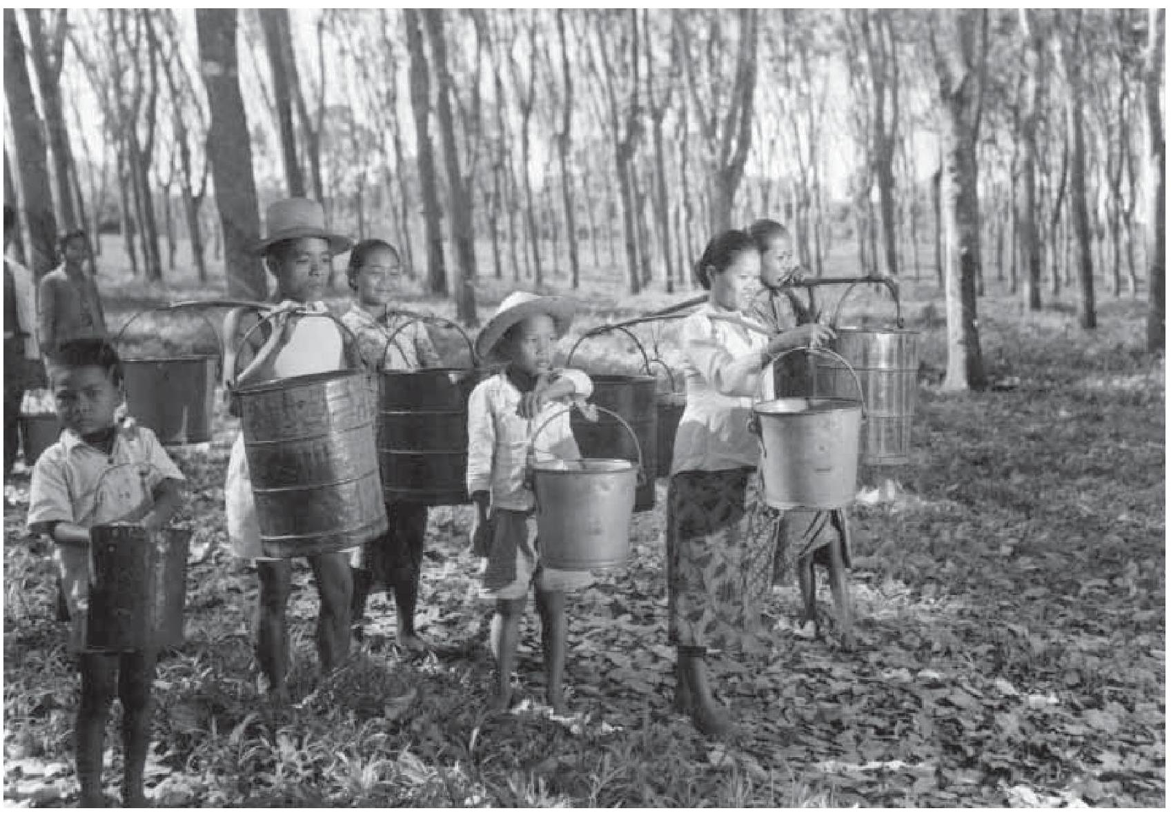 0093 Tukang-tukang sadap siap dengan getahnya di perkebunan karet, Serpong, 5 Agustus 1951 Sumber ANRI, Kempen JB 1005 garis miring 021