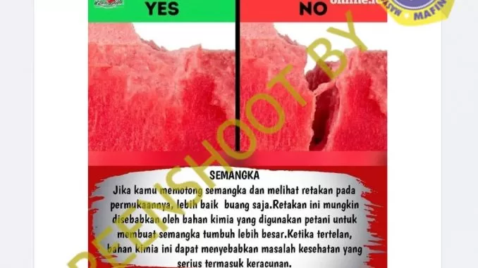 [SALAH] Retakan Semangka Akibat Kandungan Bahan Kimia