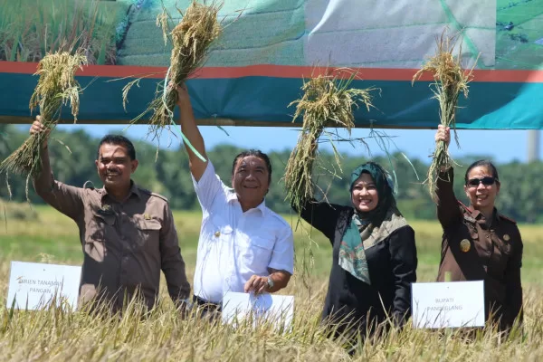 Tahun 2023, Pemprov Banten Siapkan Cadangan Pangan 1.348 Ton Beras Al Muktabar