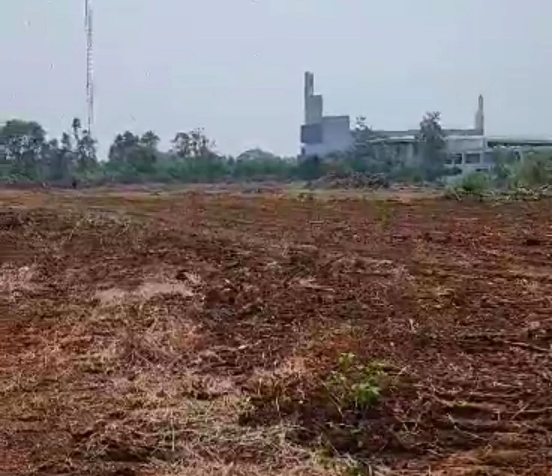 UIII Tertibkan Lahan Zona Putih dan Hijau untuk Pembangunan