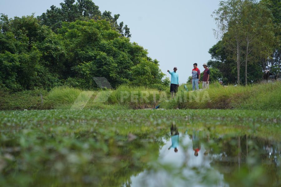 Desa Energi Berdikari Hadir di Indramayu Wujudkan Ketahanan Pangan dan Energi